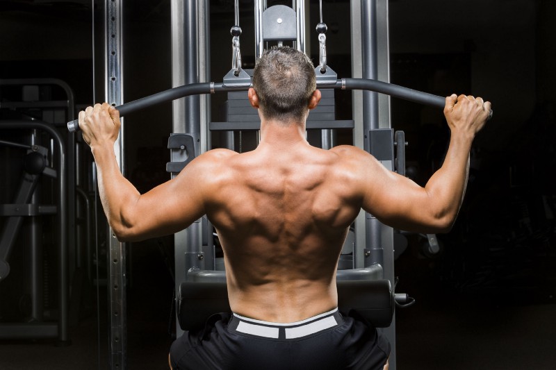 Chest and Back Workout: Your Guide to a Strong and Defined Back - Gymless