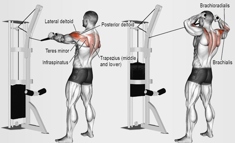 shoulder workout routine