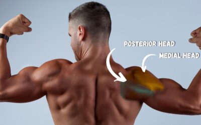 The Best Back Workout Routine (Updated 2024)
