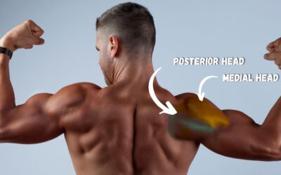 The Best Back Workout Routine