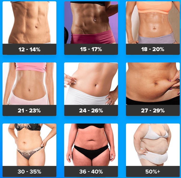 Using Body Fat Percentage Charts